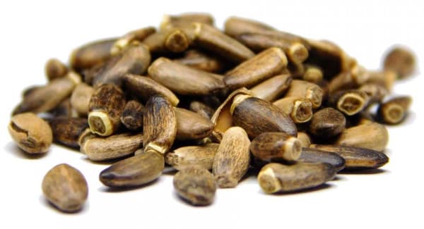 MAITIOOHDAKKEEN SIEMENET 500g