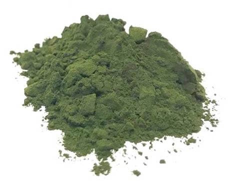 Klorellapulver 100g