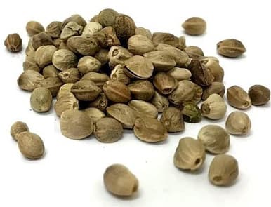 HAMPUN SIEMENIÄ KUORITTAMATTOMINA 5kg