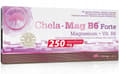 Pikkukuva 1 / 4: OLIMP CHELA-MAG B6 FORTE 60 caps MEGA MAGNESIUMKELAATTI