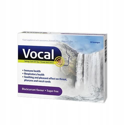 Vocal Blackcurrant 24 sugtabletter för hals och struphuvud
