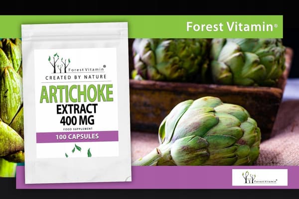 Skovvitamin Artiskok 400 mg lever fordøjelsessystem 100 kapsler