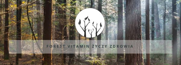 Skogsvitamin Vitamin B-komplex Stark METYLERAD TILLGÄNGLIGHET 100 tabletter.