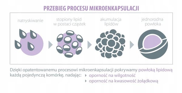 ALINESS ProbioBalance Bifidobacterium Balance PROBIOTISK IMMUNITET 30 kapslar.