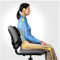 Miniatyrbillede 2 af 5: Fellowes Ergonomics professionel rygstøttepude
