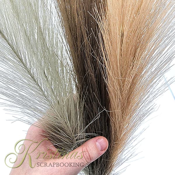 Pampasgräs - Ivory, Mocca, Stone Grey - 50 cm - 3 st