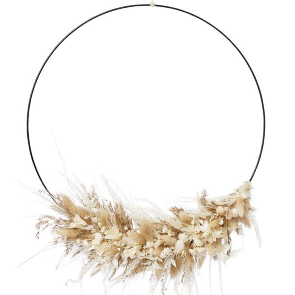 Pampasgräs - Ivory, Mocca, Stone Grey - 50 cm - 3 st