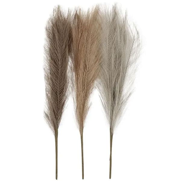 Pampasgräs - Ivory, Mocca, Stone Grey - 50 cm - 3 st