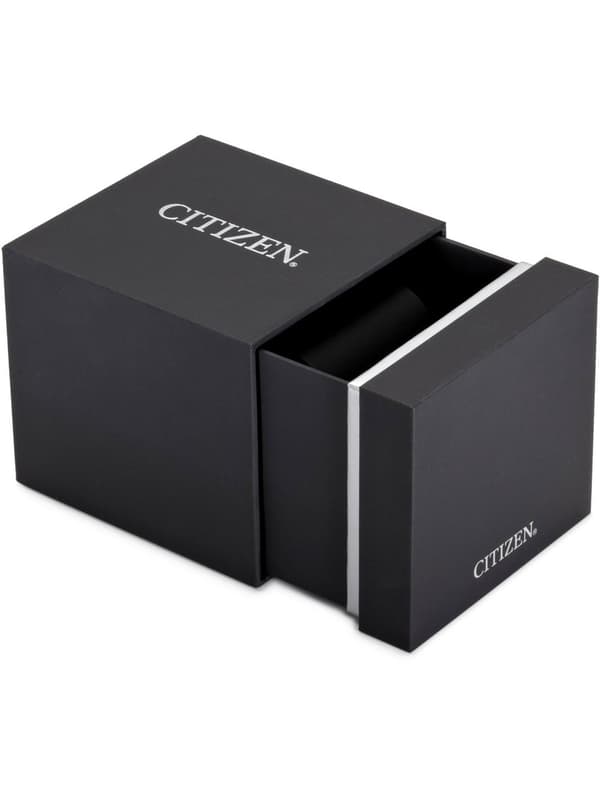 Mens Watch Citizen BF2011-01E, Quartz, 41mm, 5ATM
