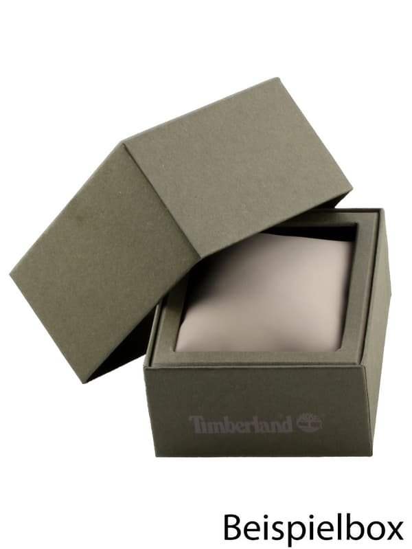 Mens Watch Timberland TDWGI2102405, Quartz, 46mm, 5ATM