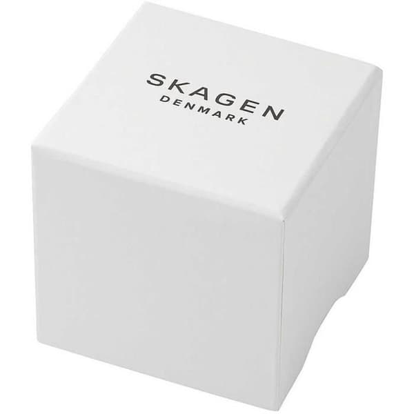 Skagen Watch - Dam - SKW3096 - Silver Rostfritt stål - 22 mm - 3 bar