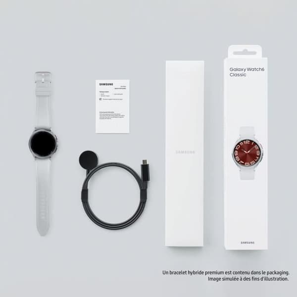 SAMSUNG Galaxy Watch6 Classic 43mm Silver 4G