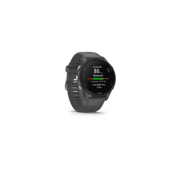 Smartwatch Forerunner 255/skifergrå, GARMIN