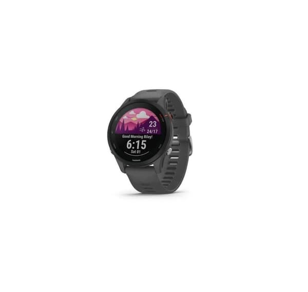 Smartwatch Forerunner 255/skifergrå, GARMIN