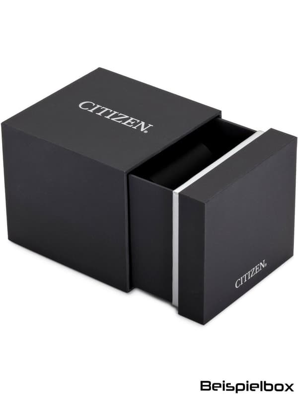 Citizen Ca0810 Ur Søvfarvet