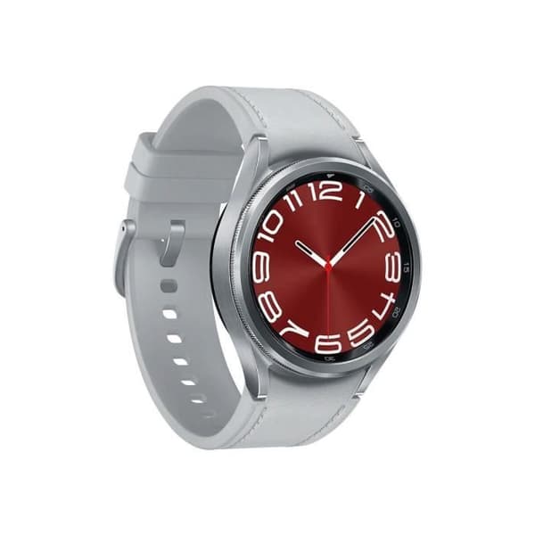 Samsung Galaxy Watch6 Classic 43mm LTE Silver (Silver) R955