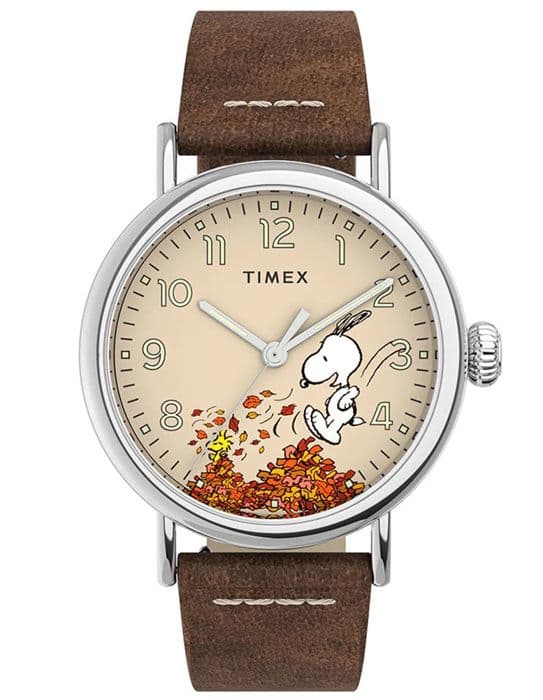 Timex Watch – Unisex – TW2U86200
