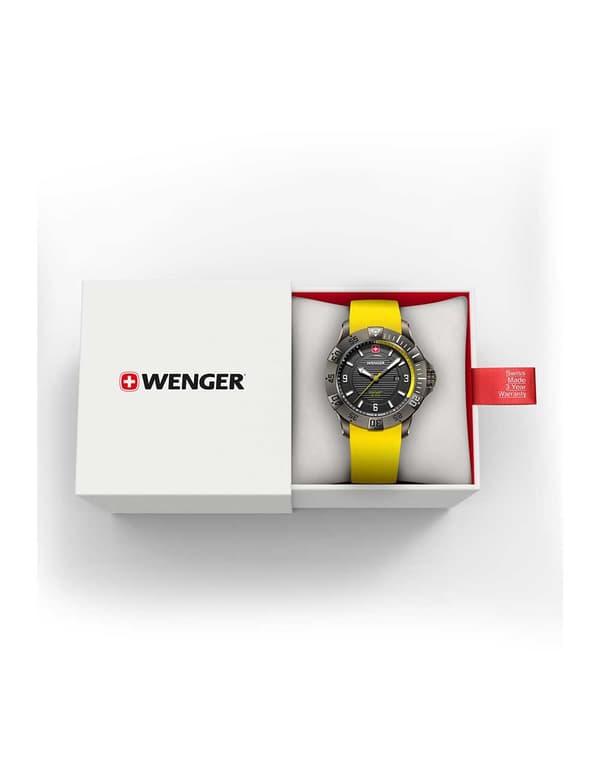Mens Watch Wenger 01.0641.145, Quartz, 43mm, 20ATM