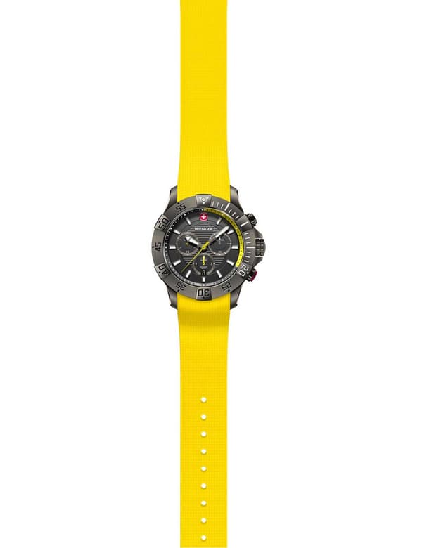 Mens Watch Wenger 01.0643.129, Quartz, 43mm, 20ATM