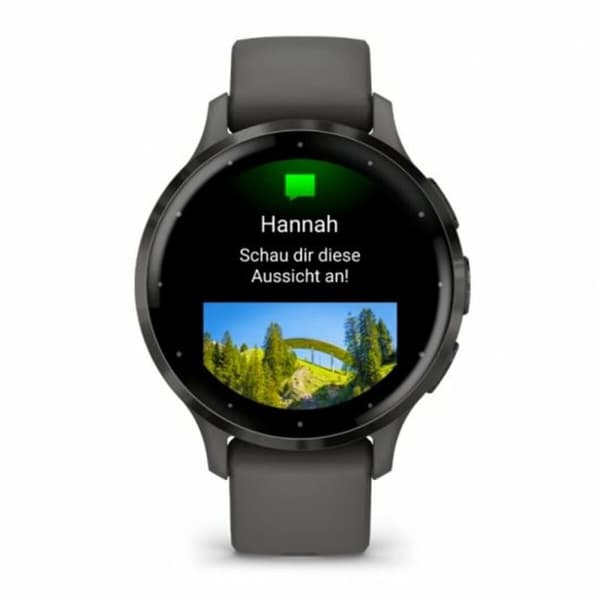 Smartwatch GARMIN Venu 3S Grå 1,2"