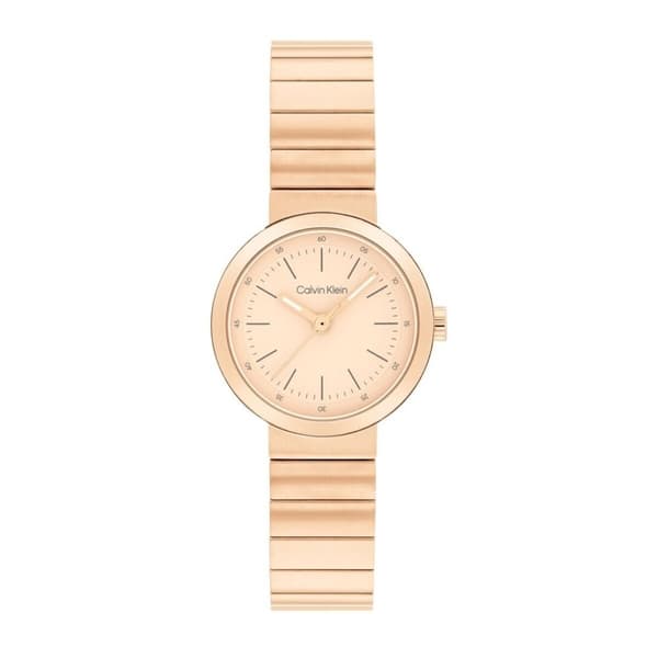 Naisten rannekellot Calvin Klein 25200411 (Ø 44 mm)