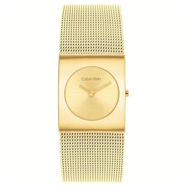 Miesten rannekellot Calvin Klein 1693551