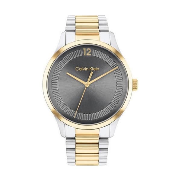 Miesten rannekellot Calvin Klein 25200226