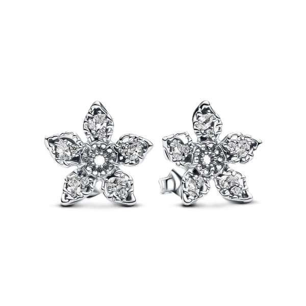 PANDORA Mod. 293573C01