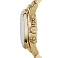 Miniatyrbilde 3 av 3: MICHAEL KORS WATCHES Mod. MK5605