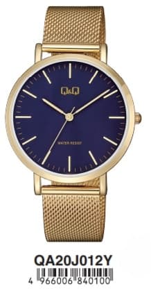 Men's Watch Q&Q QA20J012Y
