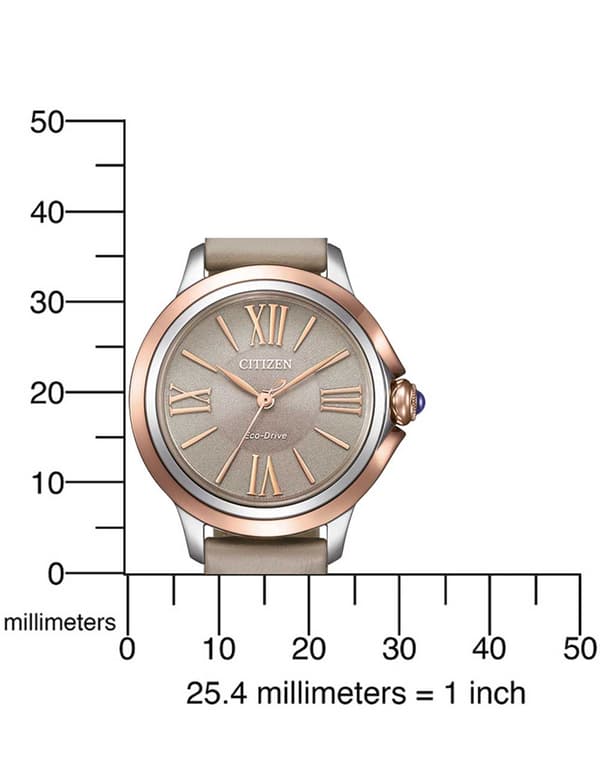 Ladies Watch Citizen EM1166-01Z, Quartz, 32mm, 5ATM