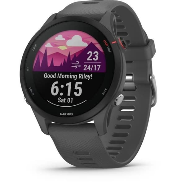 Sportansluten klocka - GARMIN - Forerunner 255 - Grå