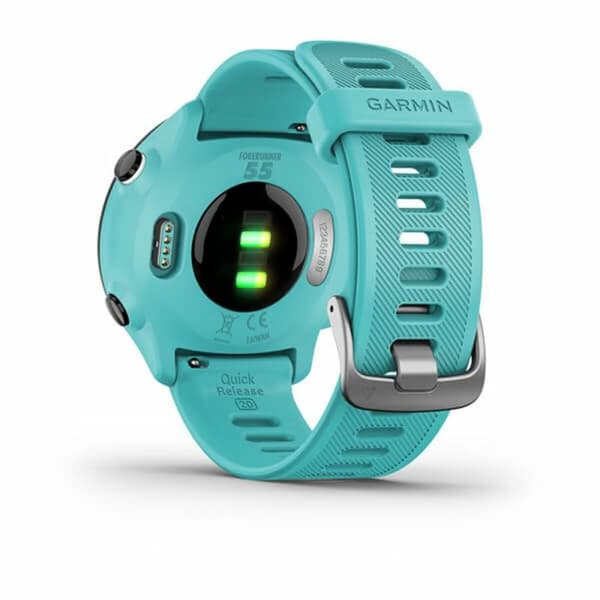 Smartwatch GARMIN 010-02562-12 Blå
