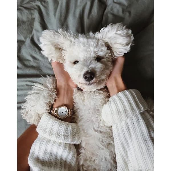 Klocka - Daniel Wellington - DW00100211 - Svart läder - 3 ATM vattentät - Kvarts