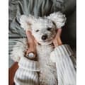 Miniatyrbild 3 av 4: Klocka - Daniel Wellington - DW00100211 - Svart läder - 3 ATM vattentät - Kvarts