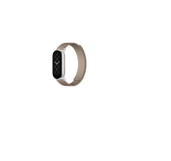 Xiaomi, magnetstropp