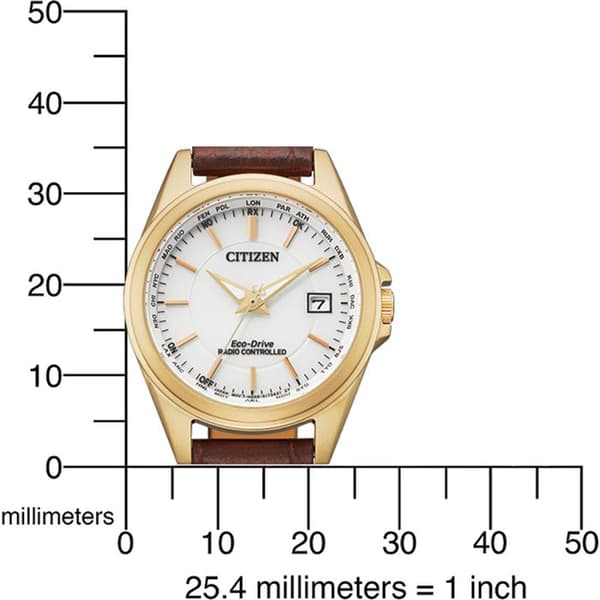 Citizen - Damklocka - Eco-Drive - Analog - Brunt läderband - EC1183-16A