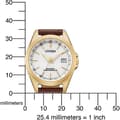 Miniatyrbild 4 av 4: Citizen - Damklocka - Eco-Drive - Analog - Brunt läderband - EC1183-16A