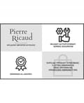Miniatyrbild 3 av 5: NY ORIGINAL Pierre Ricaud P21036.1101Q Damklocka Med Armband