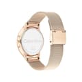 Miniatyrbillede 6 af 11: Dameur Calvin Klein 25200002 (Ø 38 mm)