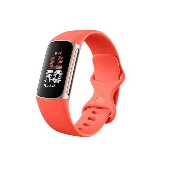 Fitbit Charge 6 aktivitetsarmband korall band/Champagne guld aluminium Champagne, Guld
