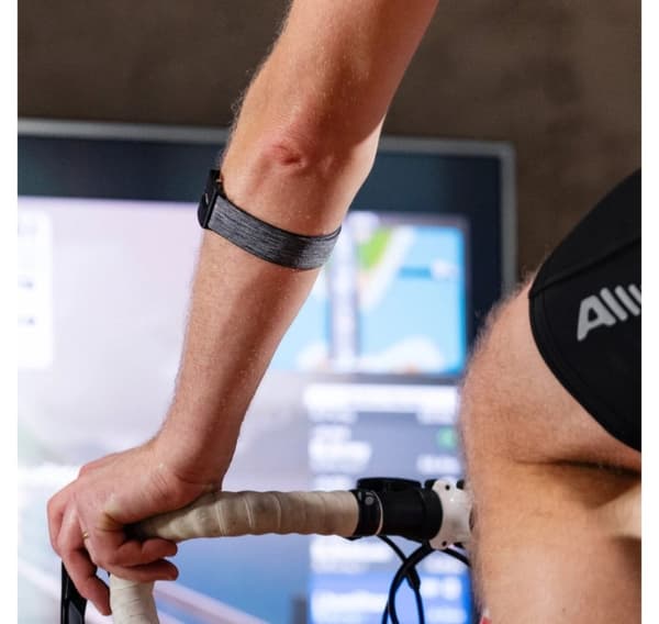 Polar armbånd Verity Sense M-XXL, grå