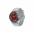 Miniatyrbillede 1 af 6: Smartwatch Samsung SM-R955FZSAEUE Grå Sølvfarvet 43 mm