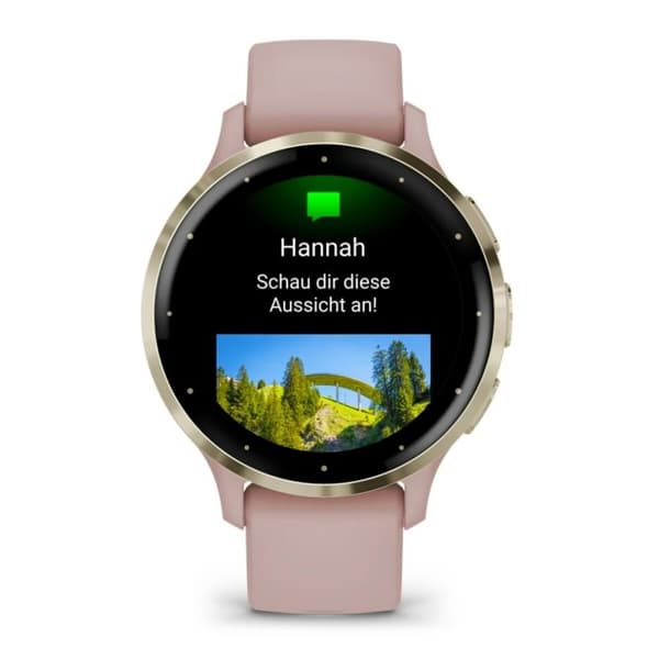 Herreur GARMIN 010-02785-03 Guld Pink