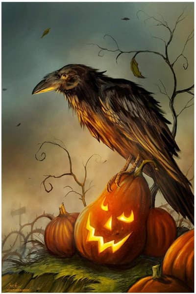 Diamond Maalaus 5D DIY Diamond Maalaus Halloween STL.30 * 40cm