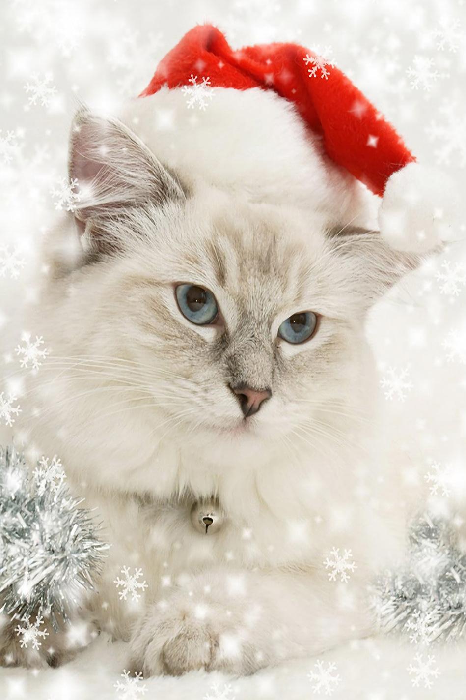Diamond maleri 5d DIY Diamond Maleri Jul Christmas Calendar Christmas Poins Stil.30 * 40cm