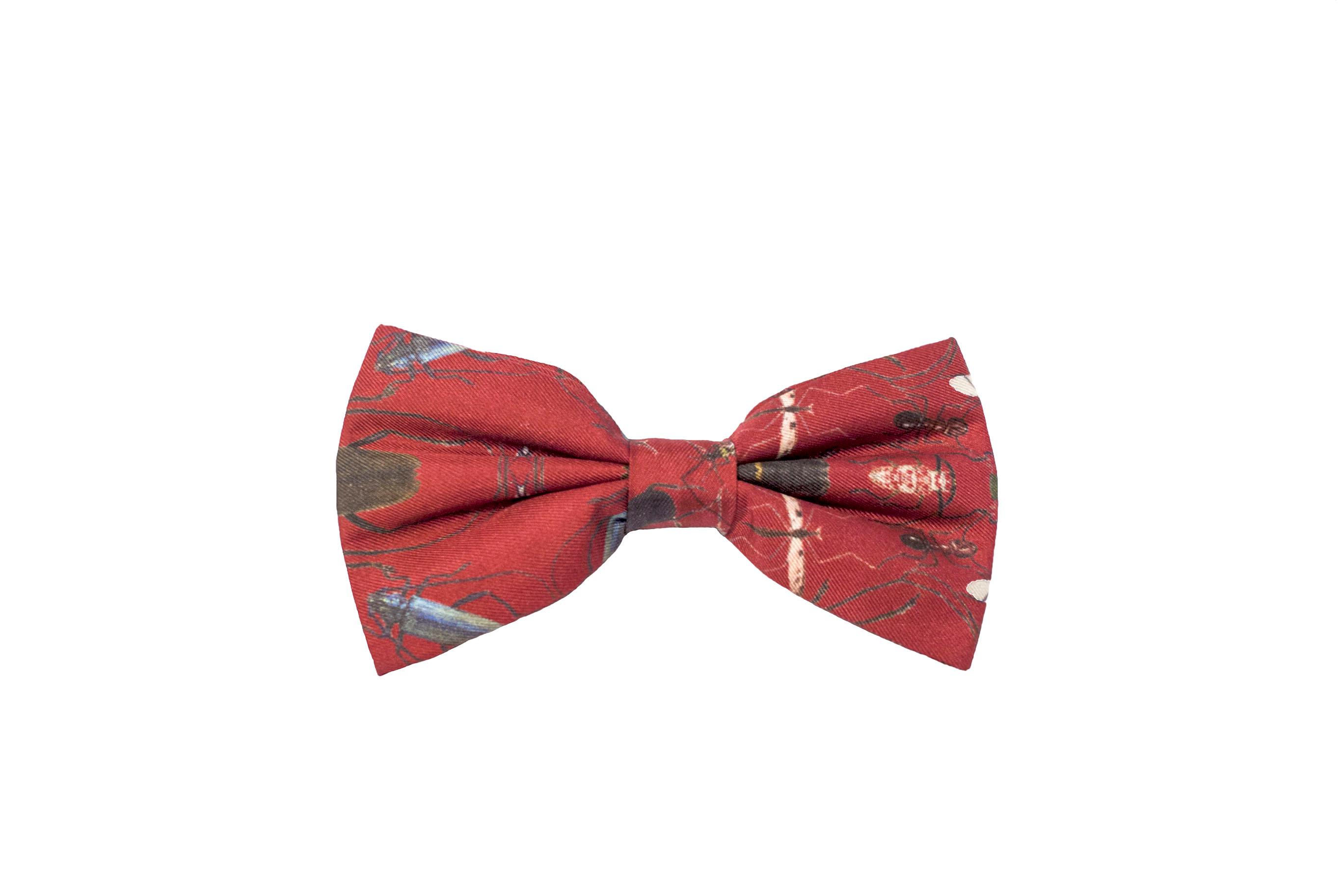 BOW TIE BUG MOROCCO WINE