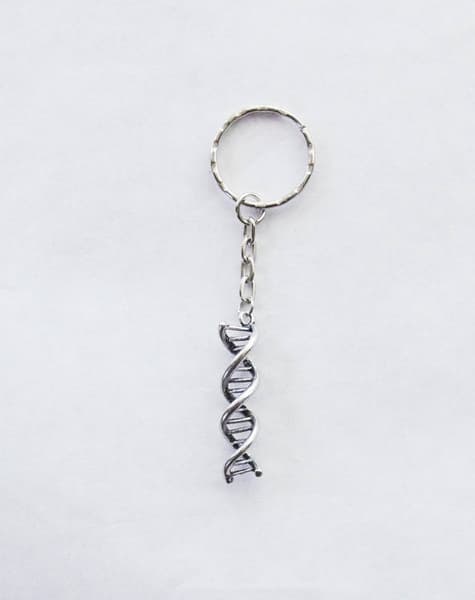Nyckelring DNA spiral helix Molekyl Kemi Biokemi