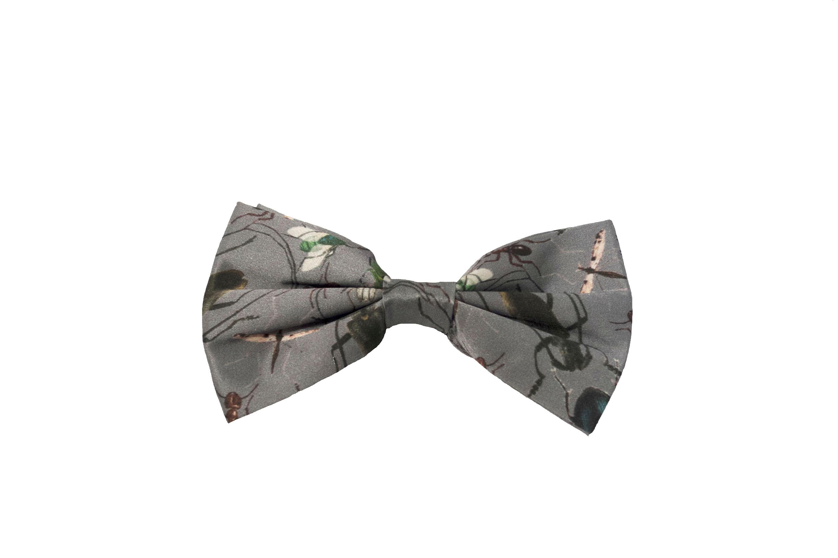 BOW TIE BUG MOROCCO ASHGEY