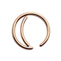 Miniatyrbild 1 av 2: Fake Piercing Öron Läpp Näsring Septum Läppring Roséguld
